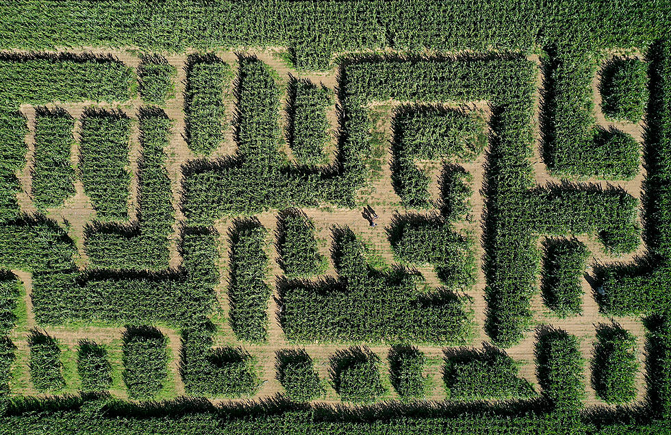 Corn Maze in Louisiana Announces Opening Date