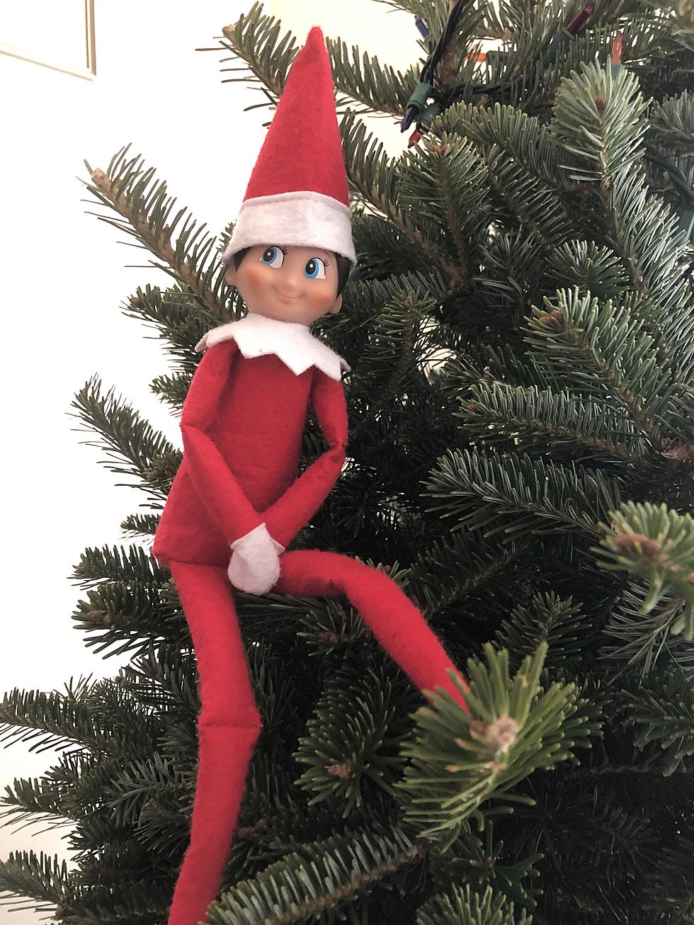 Louisiana Themed Ideas for your Elf on the Shelf 