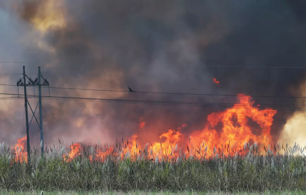 Allergies? Steps Louisiana Sugarcane Farmers Take for a Prescribed Burn