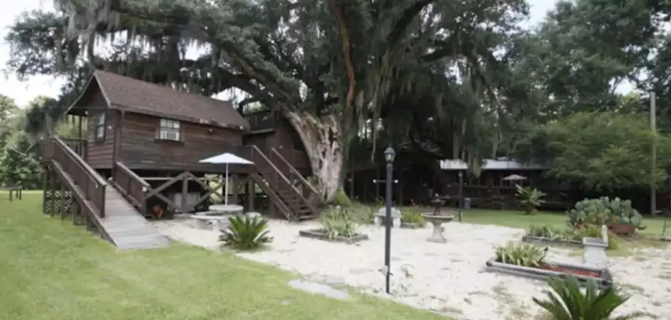 You Can Stay in a Louisiana Treehouse, Built Around an Oak Tree
