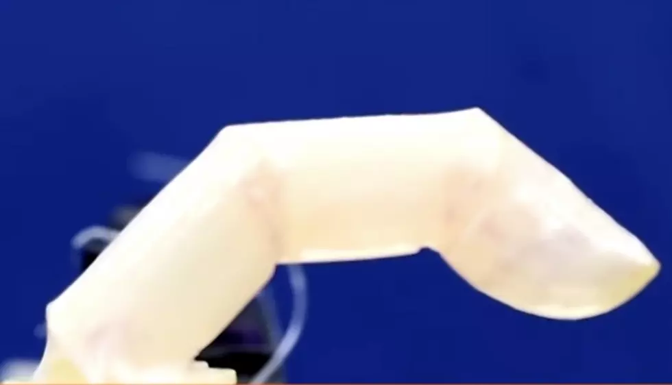 Scientists Put Skin On a Robot Finger, Face Next