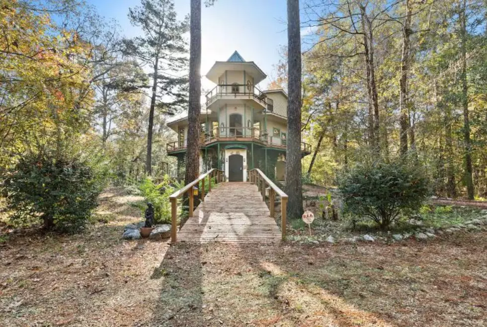 Unique Treehouse in Louisiana—Perfect Spot for your Next Getaway