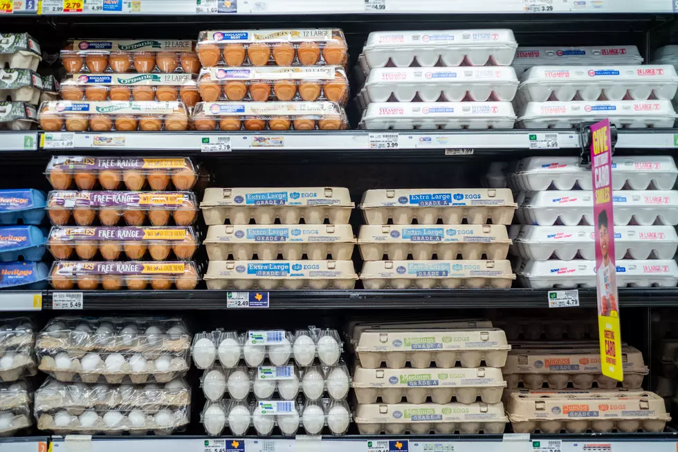If You Find Eggs in Lafayette, Better Buy Them While You Can