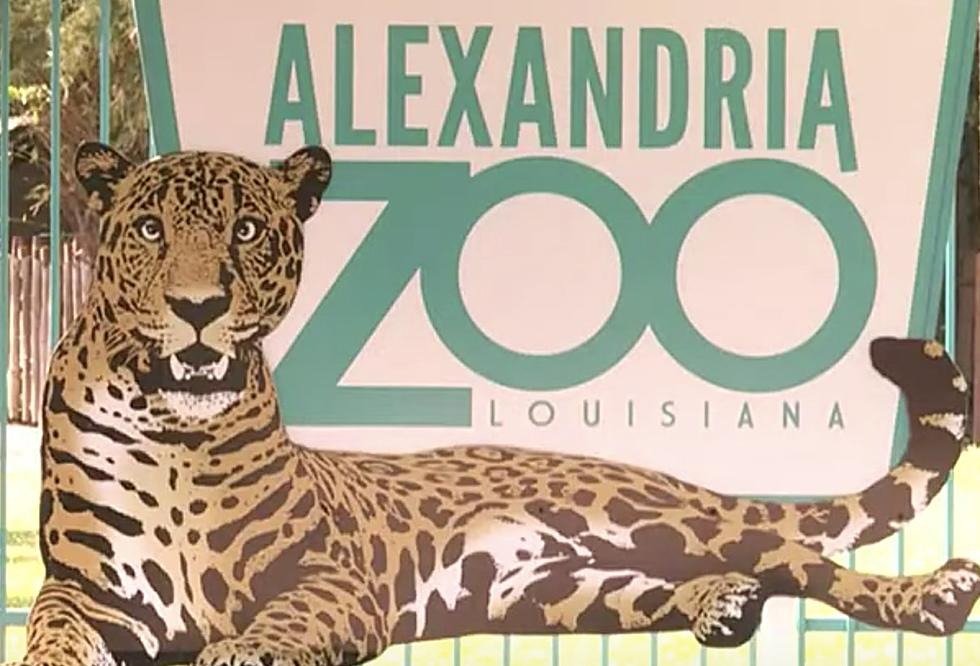 Some Have Mixed Feelings Over Free Entry to Zoo for Snap Recipients