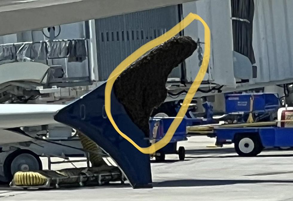 Delta Flight Delayed After Bizarre ‘Swarm’ Spotted on Wing of Plane