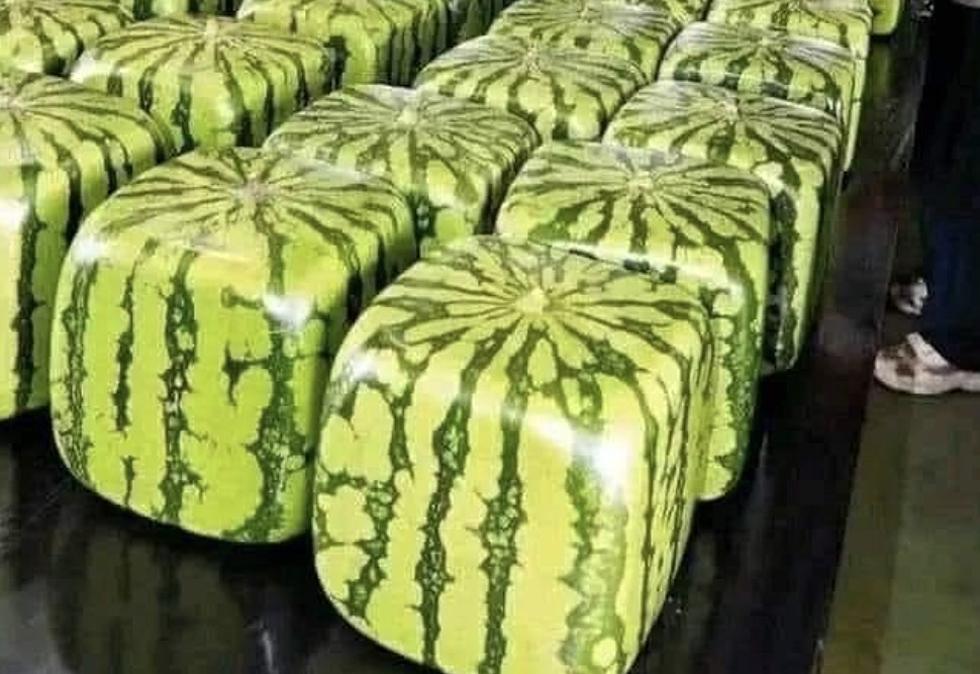 Could We Soon See Cubed-Shaped Watermelons in Stores? [PHOTO]