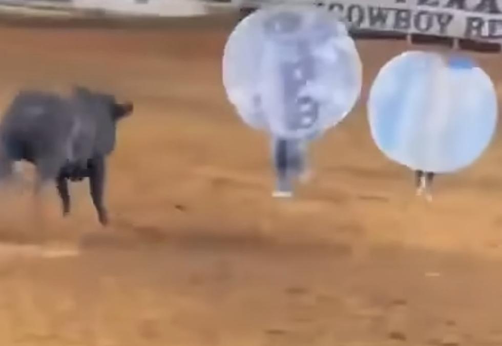 Shocking Video Shows Enraged Bull Sends Participants Flying in Bubble Balls