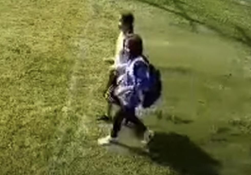 Man Uses Controversial Technique to Stop People From Walking Across Lawn [WATCH]