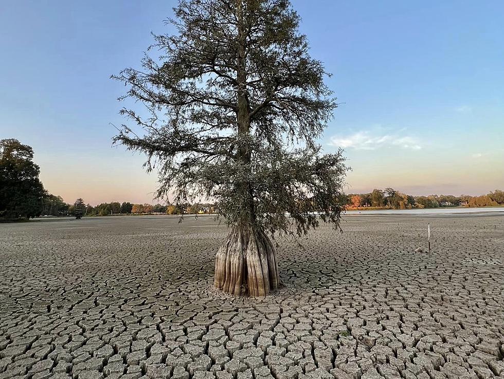 Photos Show a Very Dry University Lake on Campus of LSU