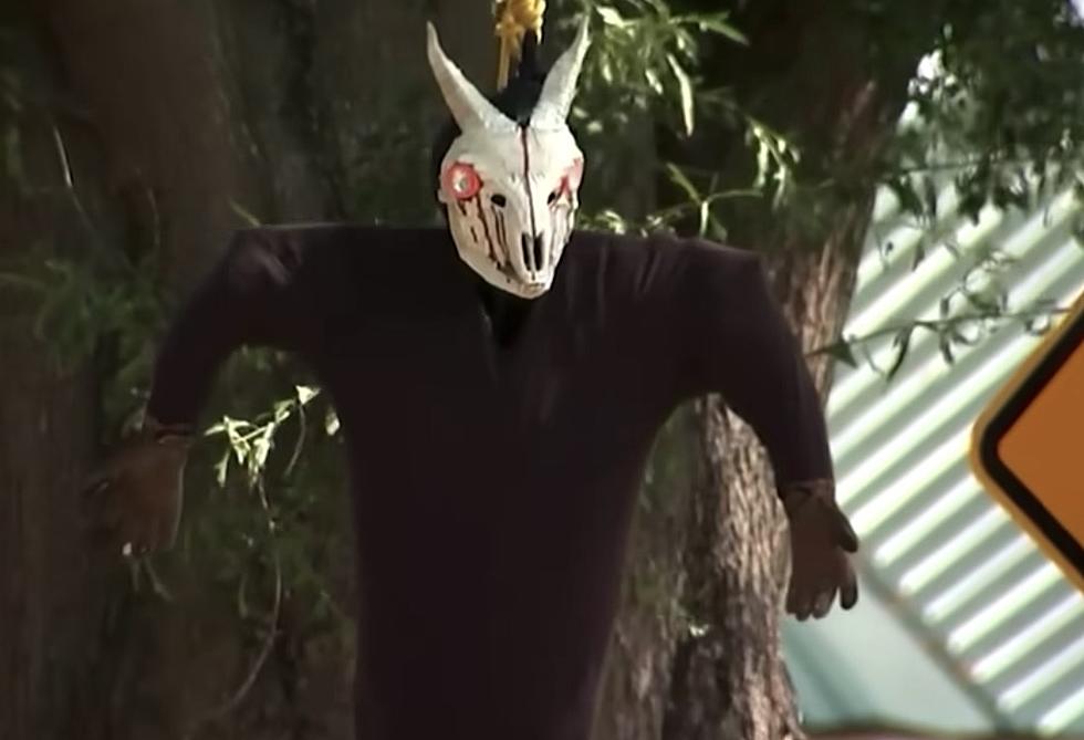 Some Say Halloween Decoration Hanging From Tree is Racist