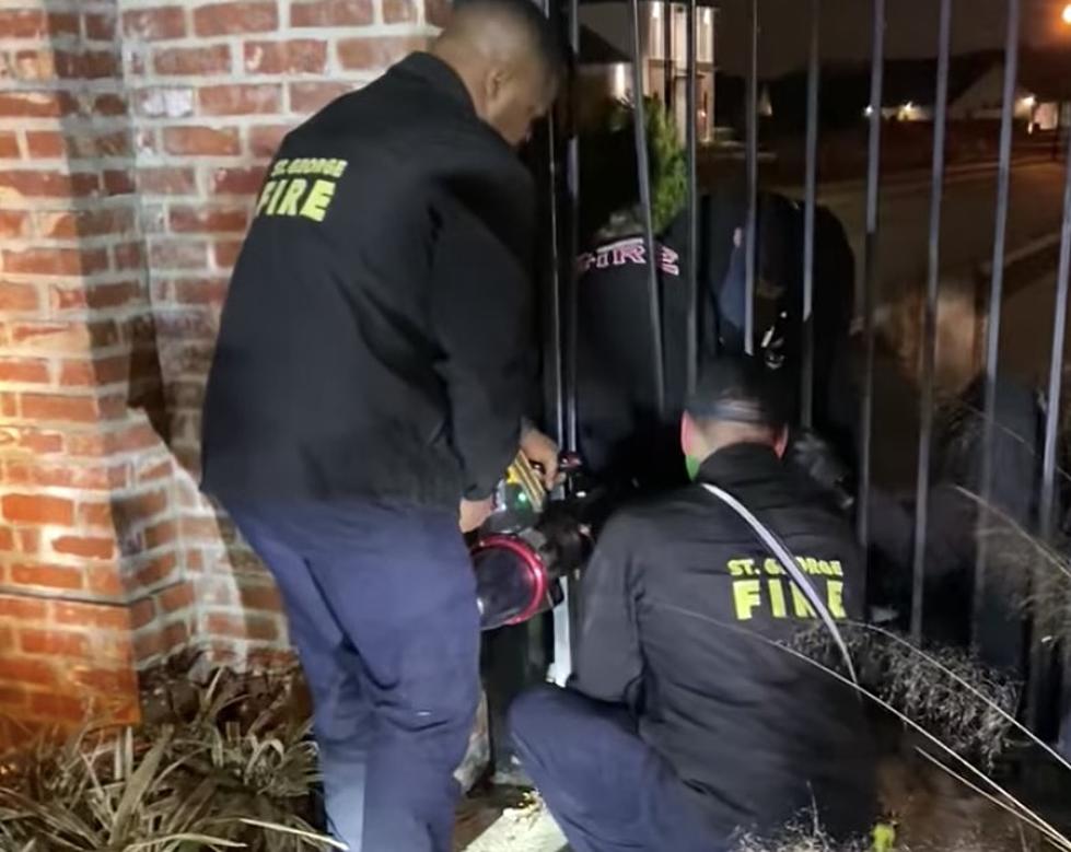Louisiana Fire Department Uses ‘Jaws of Life’ to Rescue Deer in Fence