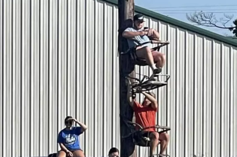 Louisiana Baseball Fans Use Deer Stands to Watch High School Game