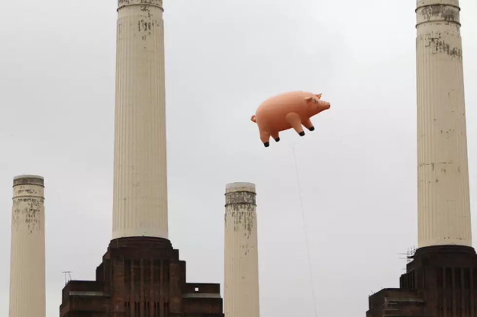 Pink Floyd&#8217;s Pig Flies Again &#8211; Pic of the Week
