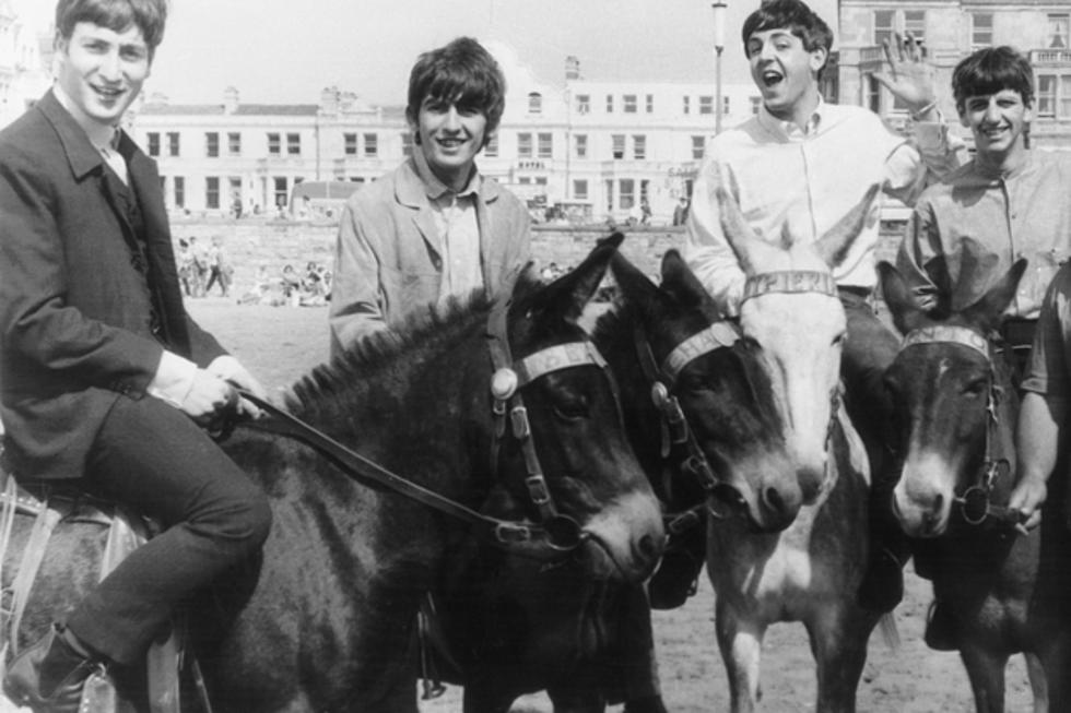 Top 10 Beatles Animal Songs