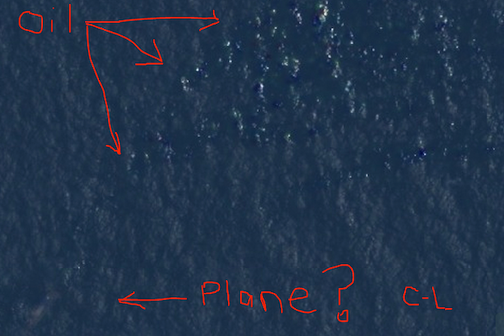 Courtney Love Offers Theory on Missing Flight 370