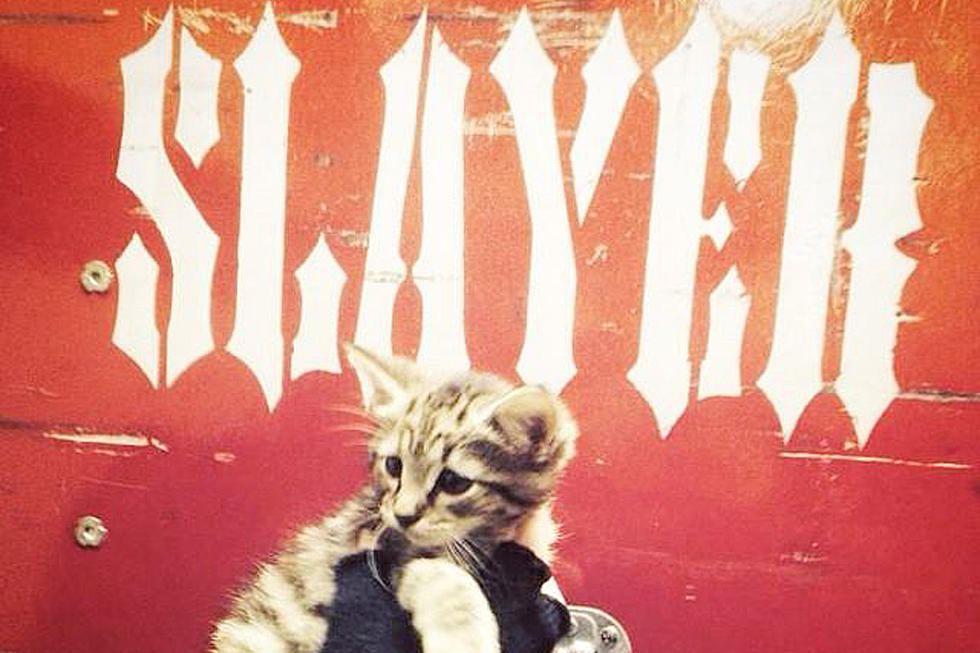 Slayer Rescues Kitten In Indianapolis