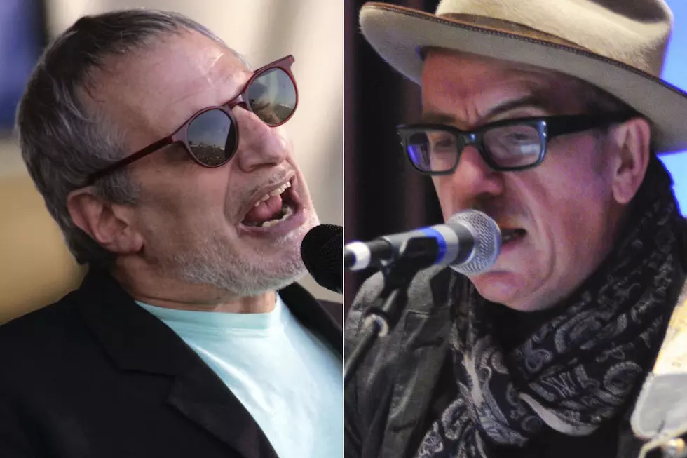 Steely Dan, Elvis Costello Team Up for Summer 2015 Tour