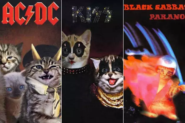 What If Kittens Were on Your Favorite Rock Album Covers?