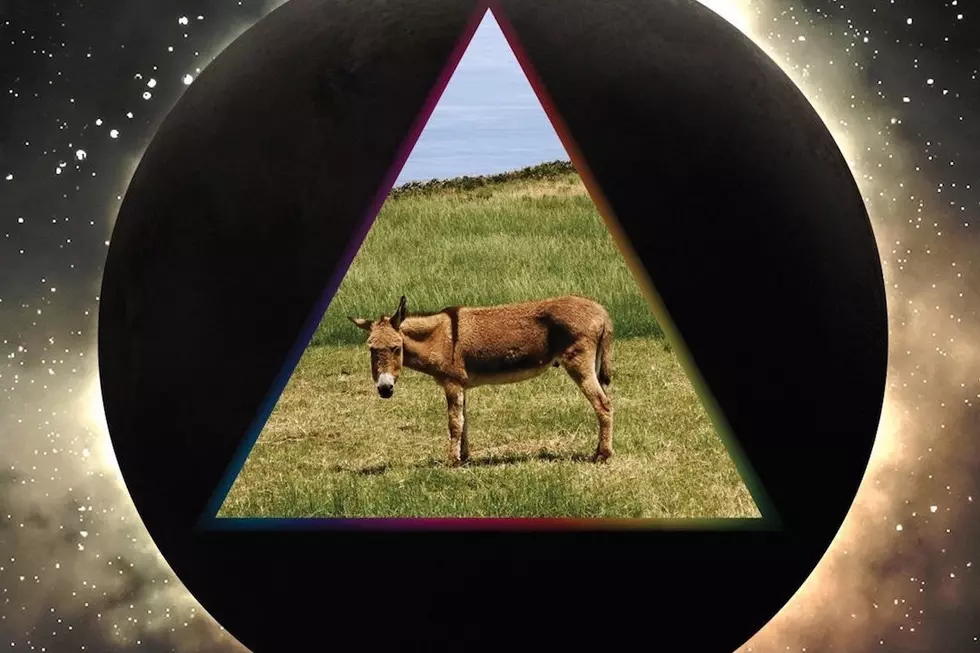 Gov't Mule, 'Dark Side of the Mule' - Album Review