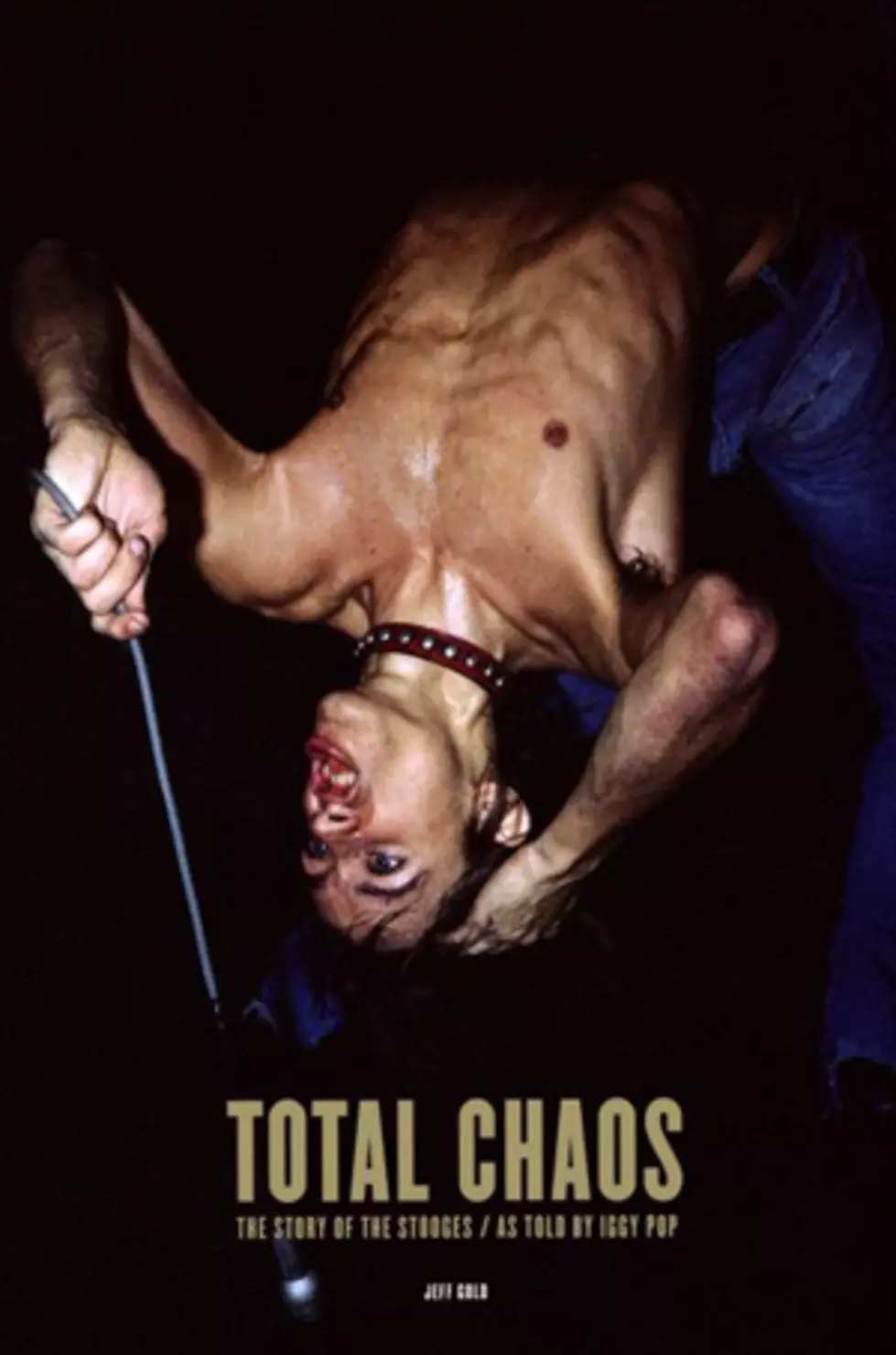 Iggy Pop Tells Stooges Story in New Book