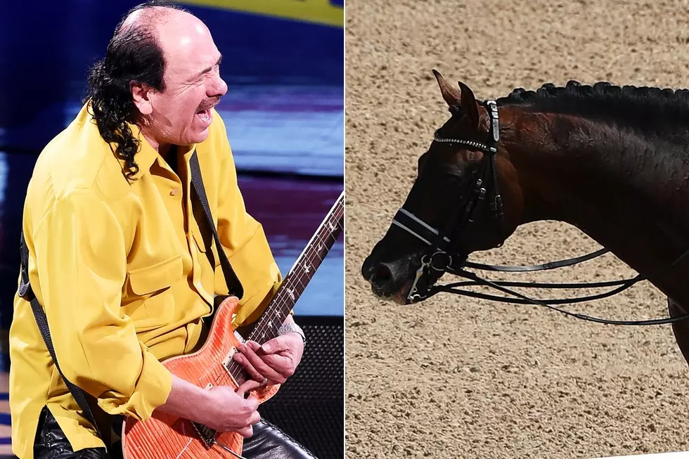 A Horse Danced to Santana’s ‘Smooth’ at the Olympics