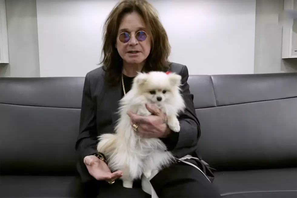 How Ozzy Osbourne Learned to Milk a Cow