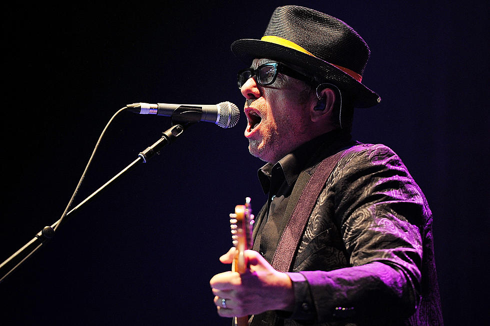 Elvis Costello 2024 Tour