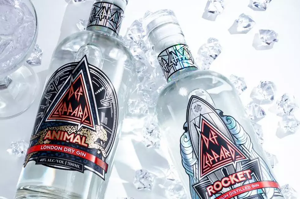 Def Leppard Mark 45th Anniversary With New Gins