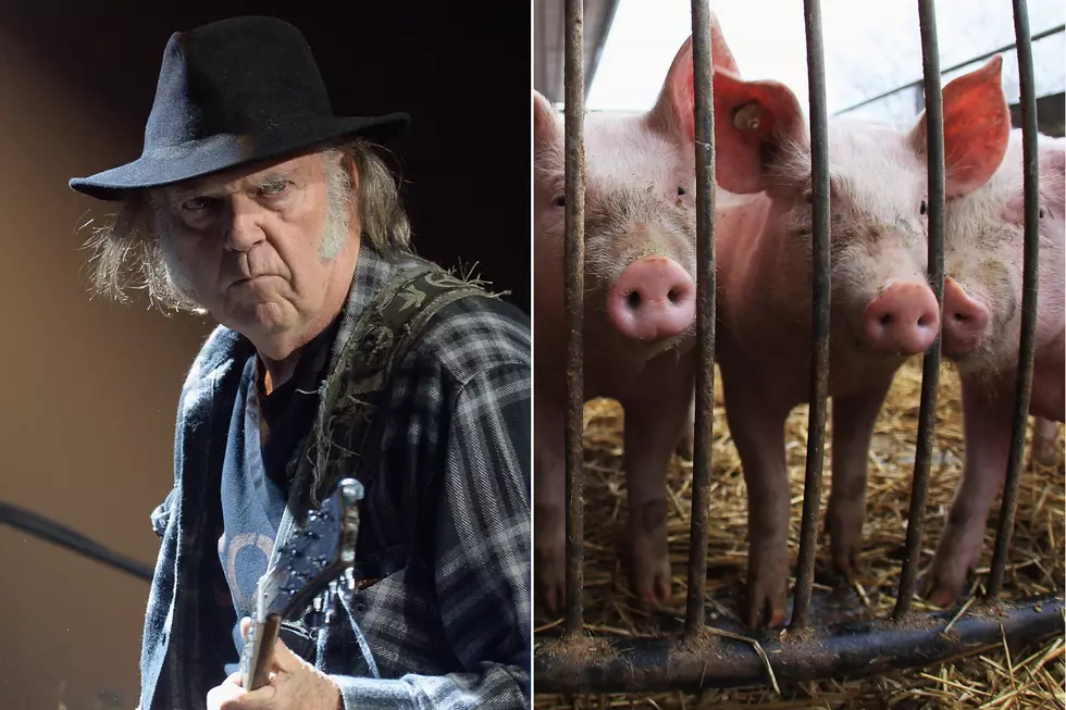 Neil Young Refuses to Play Venues ‘Fed by Factory Farms’