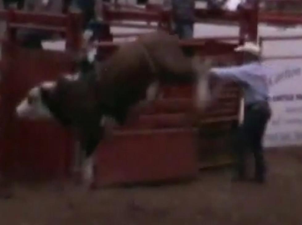 Bucket List Bull Riding Attempt Breaks City Worker’s Bones