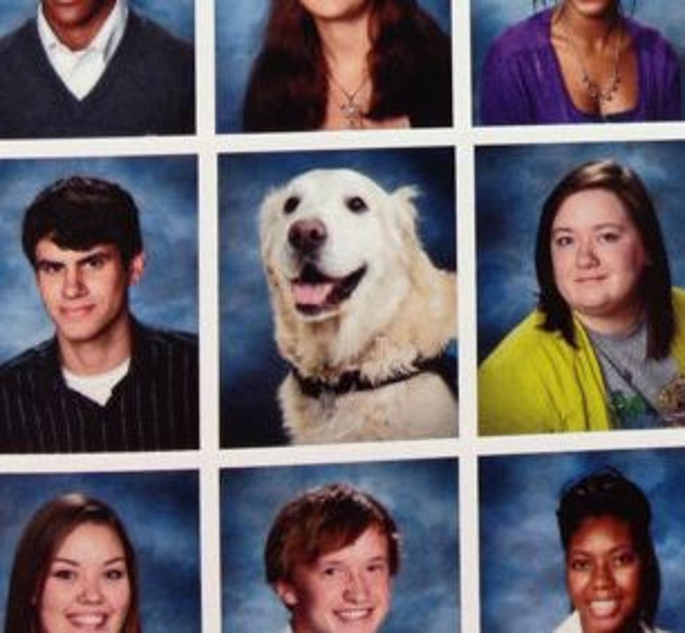 School Comfort Dog &#8216;Retires,&#8217; Gets His Photo In The Yearbook With The Seniors [Pic]