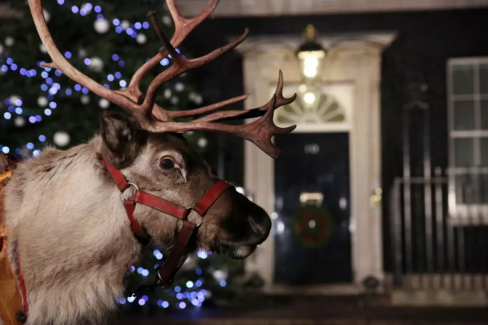 Watch Santa&#8217;s Official Live Reindeer Cam