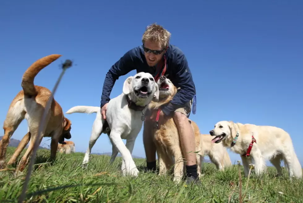 Are You Making These 5 Dog Training Mistakes?