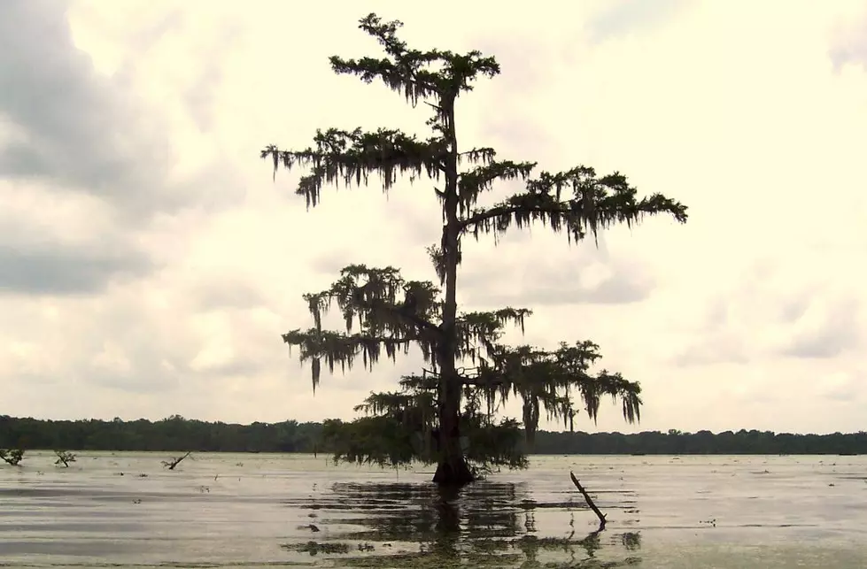 South Louisiana Bucket List – 5 Cajun Country Destinations You Must See Before You Die