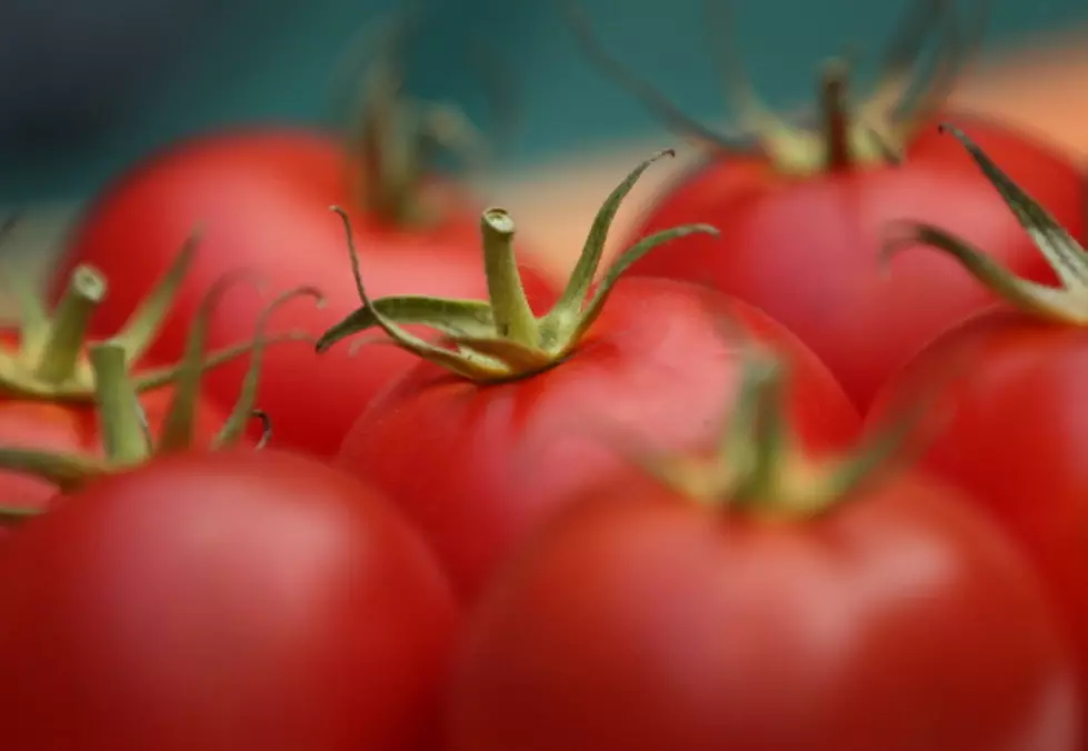 Delicious Fresh Tomato Recipes for Summer