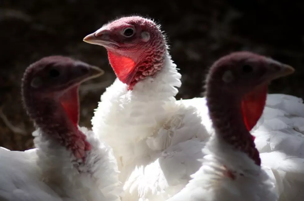 The Big Mistake That Gave Turkeys Their Name