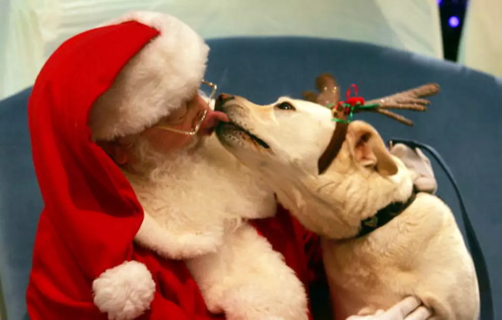 Take a Picture With Your Pet With Santa