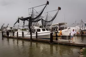 Shrimp Price Spike Attributed To Gulf Dead Zone
