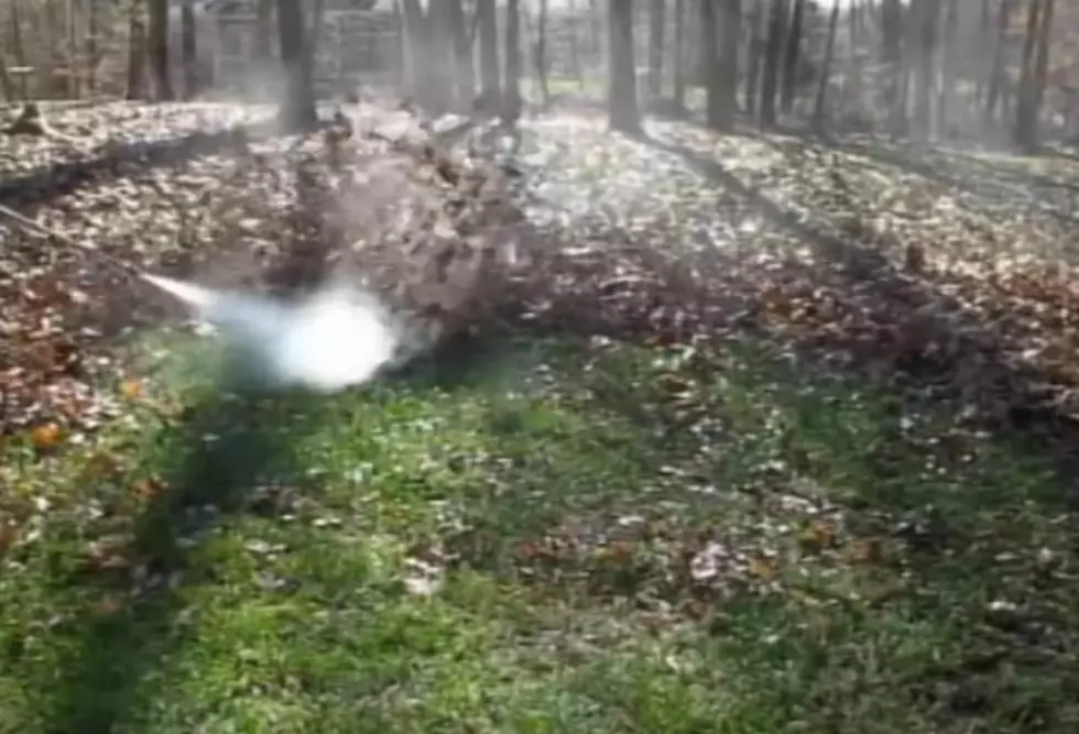 This Guy Has A Fantastic Way To Deal With Leaves For People Who Hate To Rake [Video]