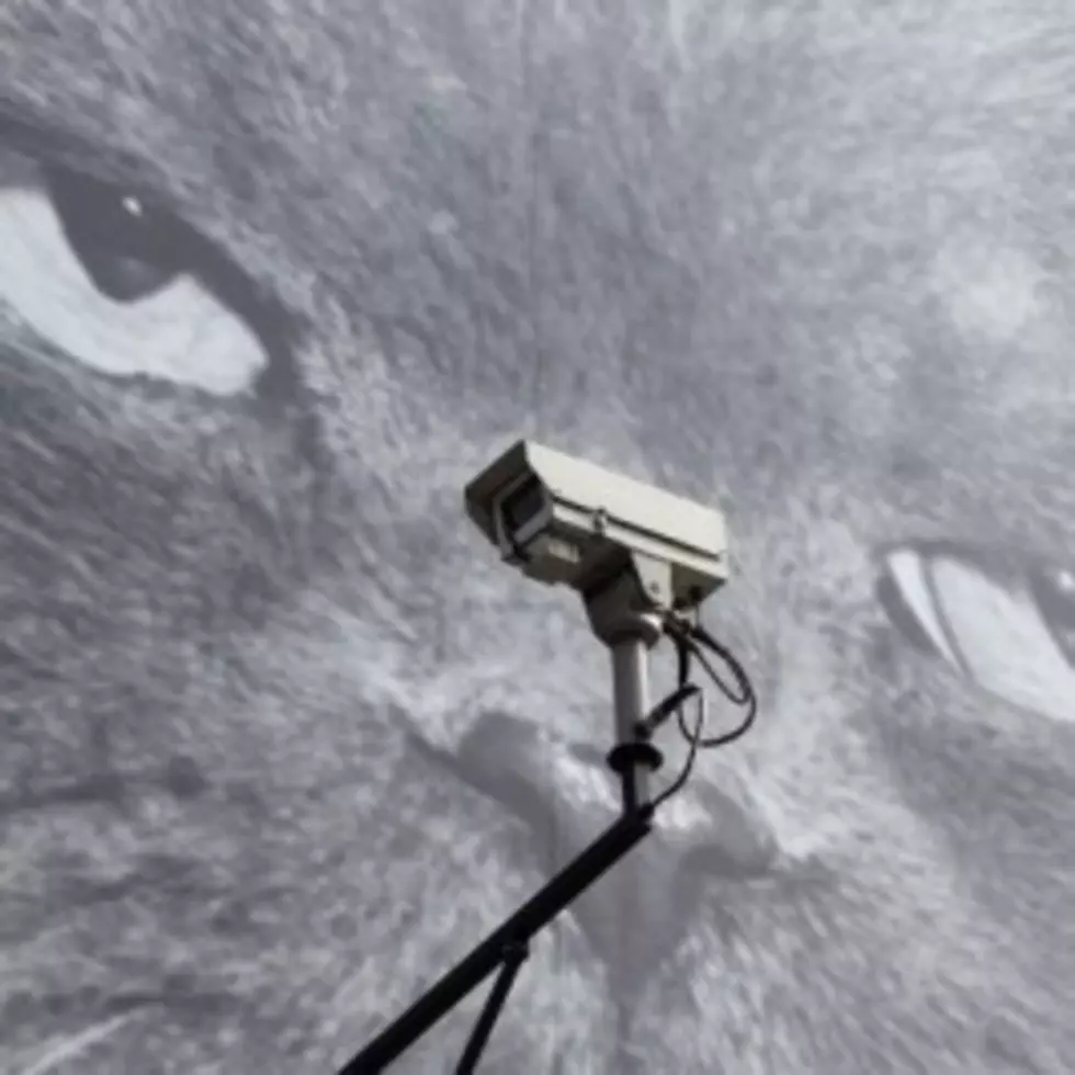 Lafayette Looking To Install Crime Cameras In 52 Locations