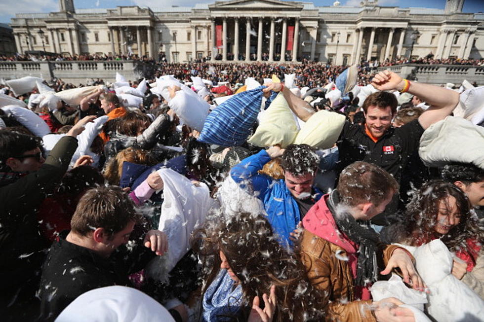 Pillow Fight Day – Violence With A Softer Side