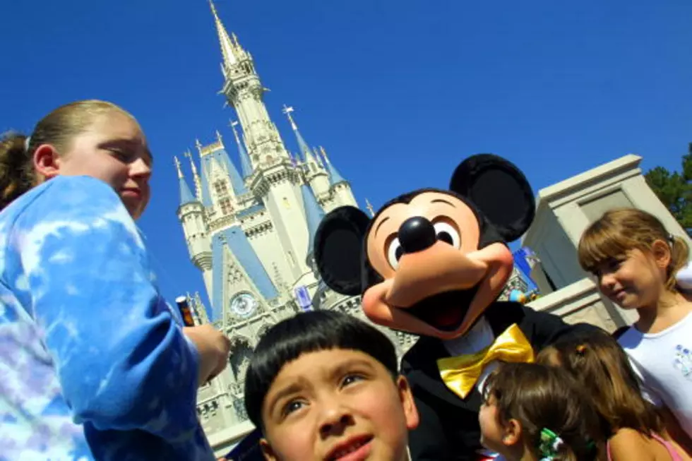 Disney Theme Parks Are the Latest to Ban Selfie Sticks