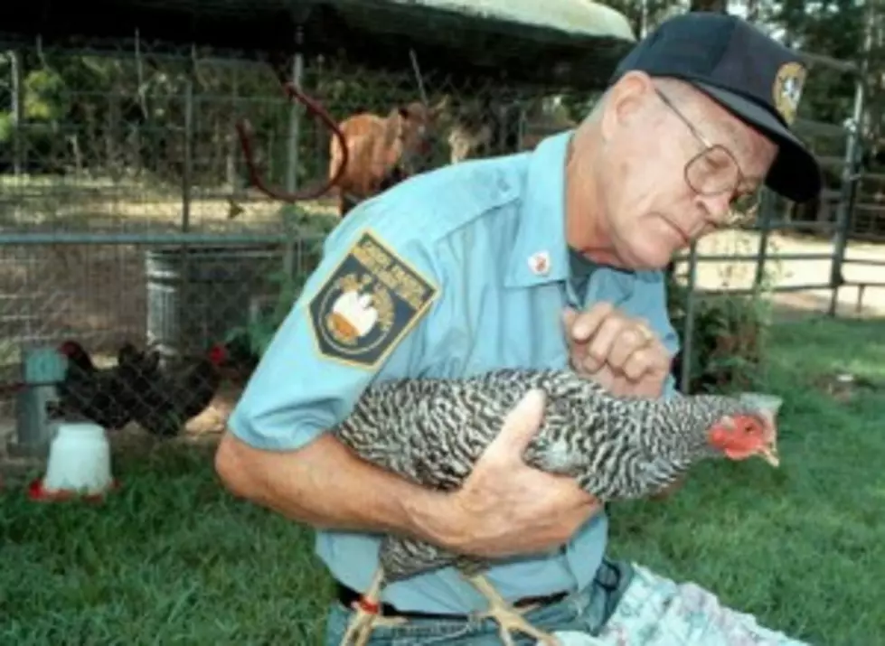 Centers For Disease Control &#8211; Don&#8217;t Cuddle Or Kiss Chickens