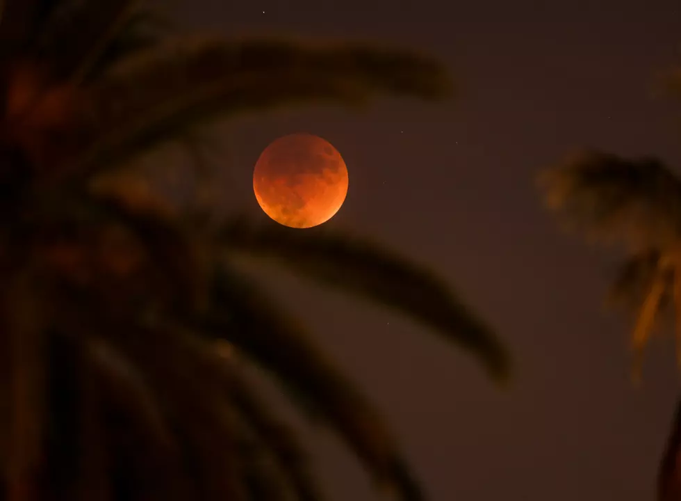 Super Blood Wolf Moon Eclipse Visible This Weekend