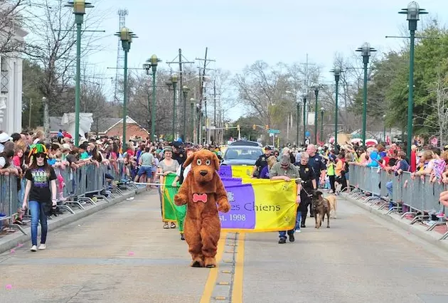 Krewe des Chiens Parade This Saturday in Downtown Lafayette