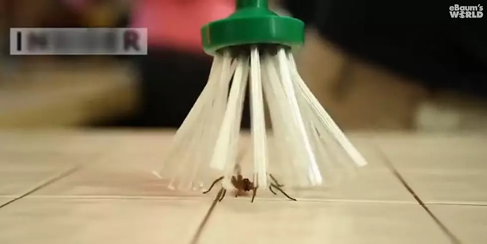 &#8216;The Critter Catcher&#8217; Is Here So You Don&#8217;t Have To Smash Bugs With Your Shoes Anymore [Video]