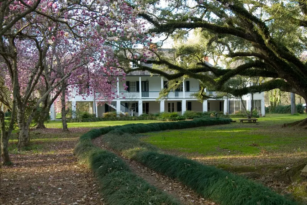 Top 12 Tourist Attractions in Louisiana