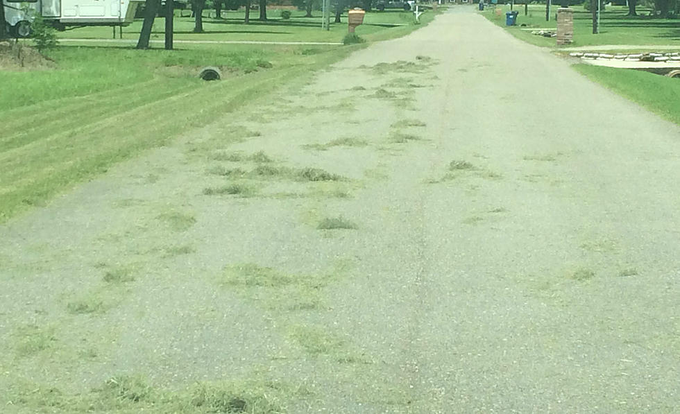 Are Grass Clippings On The Road Dangerous, Illegal?
