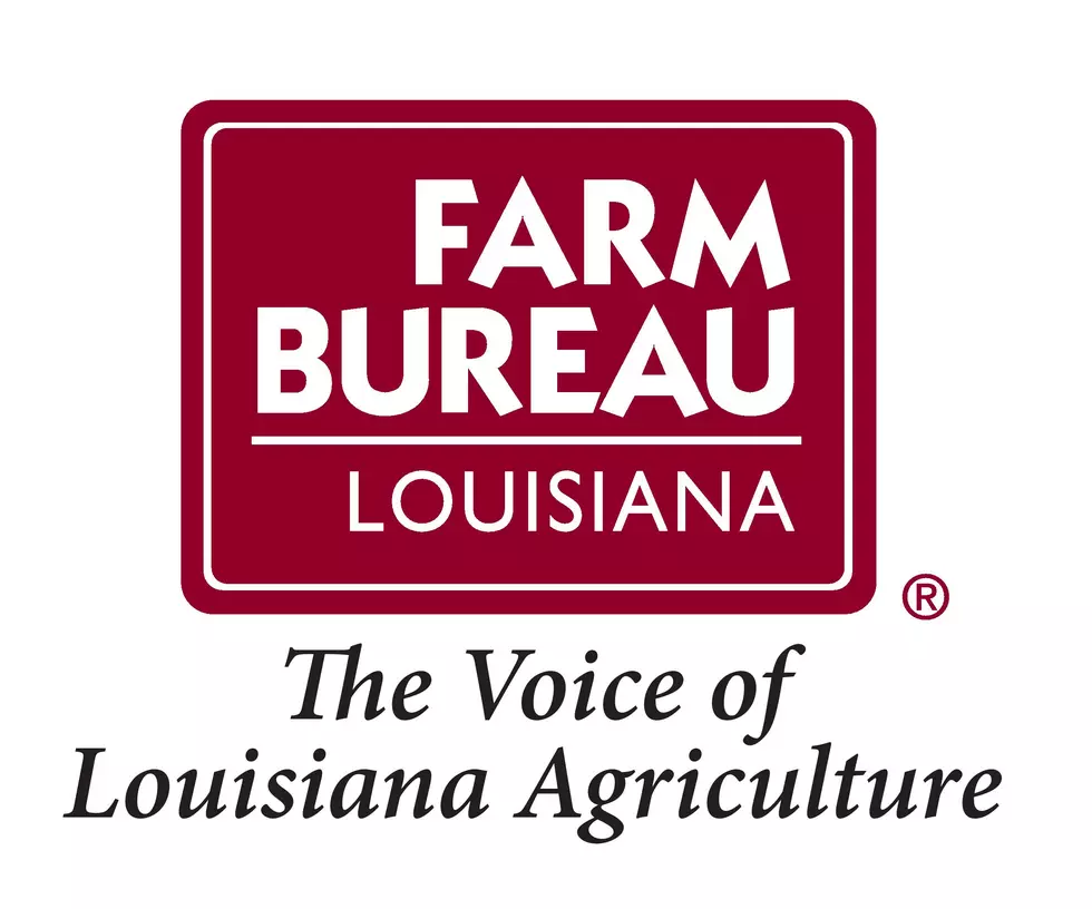 Louisiana’s Farm Bureau president retiring after 31 years
