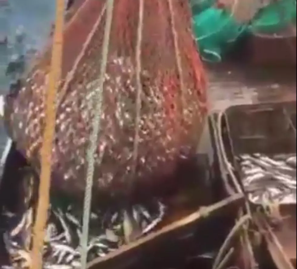 Fishing Net Comes Out Of The Water With A Big Surprise [Video]